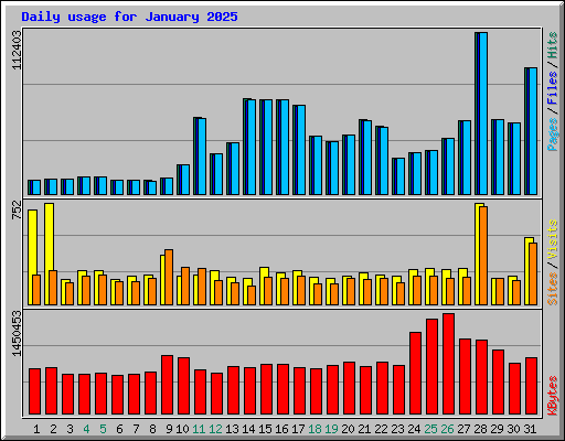 Daily usage for January 2025