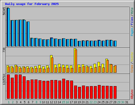 Daily usage for February 2025