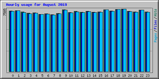 Hourly usage for August 2019