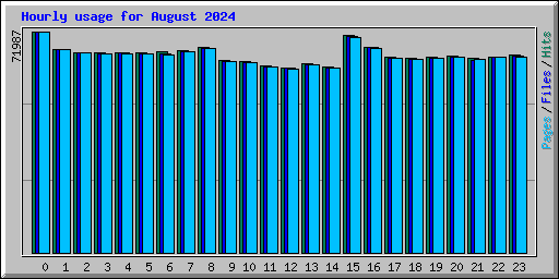 Hourly usage for August 2024