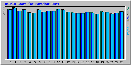 Hourly usage for November 2024