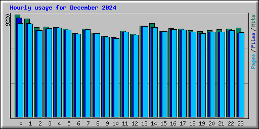 Hourly usage for December 2024