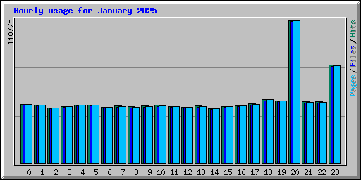 Hourly usage for January 2025