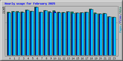 Hourly usage for February 2025