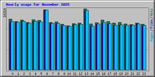 Hourly usage for November 2025