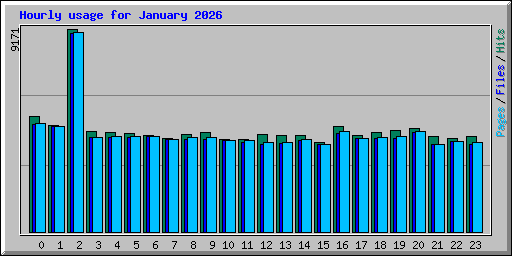 Hourly usage for January 2026